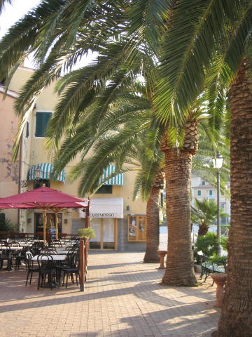 073791_Palmen.jpg