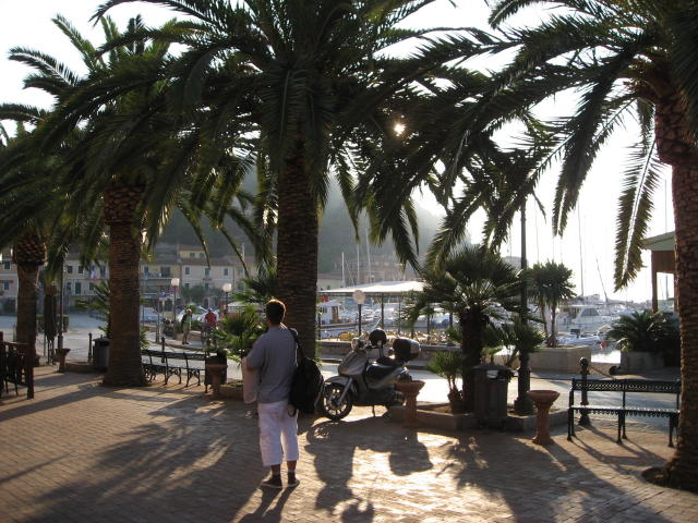 073792_Palmen.jpg