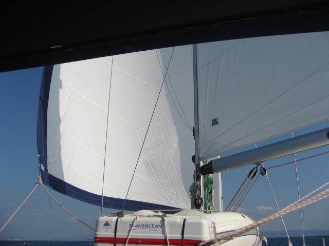 073860_Schmetterling.jpg
