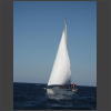 073241_Crew_B.jpg