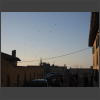 073266_Vogelschwarm.jpg