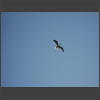 073274_Moeve.jpg