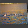073323_Mathias_Yvonne_Andrea_Adrian.jpg