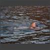 073361_Judith_von_Rotz.jpg