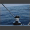 073515_Wasserpickel.jpg