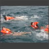 073648_eine_Runde_schwimmer.jpg