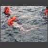 073666_eine_Runde_schwimmen.jpg