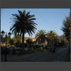 073783_Palmen.jpg