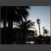 073785_Palmen.jpg