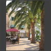 073791_Palmen.jpg