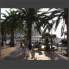 073792_Palmen.jpg