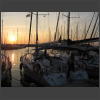 073940_Aulona_in_Puntone.jpg