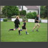 081340_Seckle.jpg