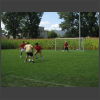 094686_Match.jpg