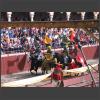 023982_Ritterspiele.jpg
