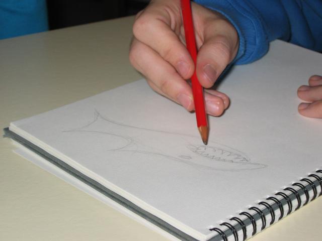 034033_Haifisch.jpg