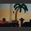 051160_Cinema_Sound_unter_Palmen.jpg