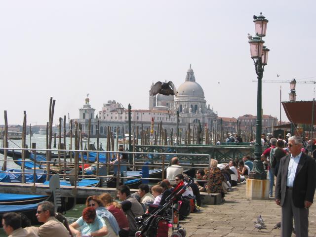031325_Promenade.jpg