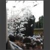 033591_Snow_Mobile.jpg