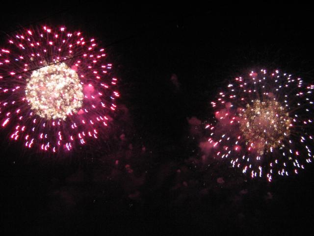 033628_Mehrfarbige_Blumen.jpg