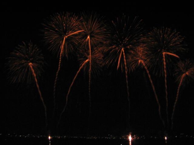 033639_Palmen.jpg