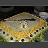 033968_Karaoke_Cake_18.jpg