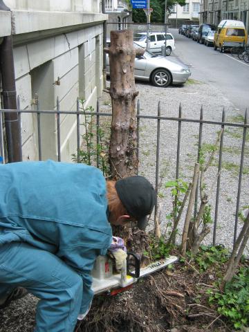 043109_Meisterin_bei_der_Arbeit.jpg