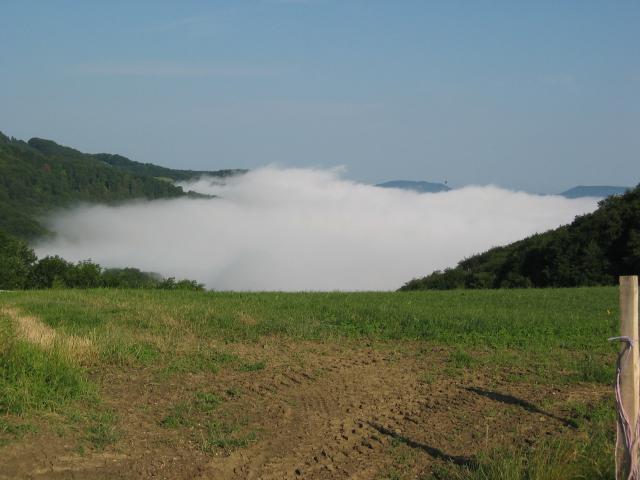 043294_Nebelmeer.jpg