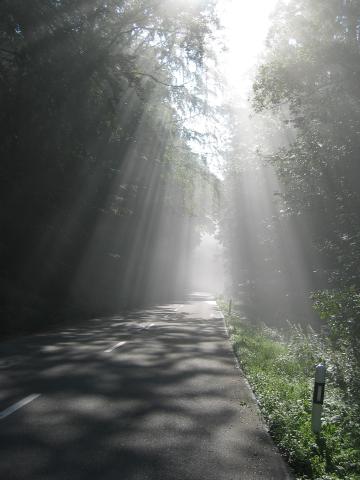 043298_Sonnenstrahlen.jpg