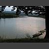 043283_Rhein_in_Moehlin.jpg