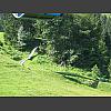 043520_Rodelbahn.jpg