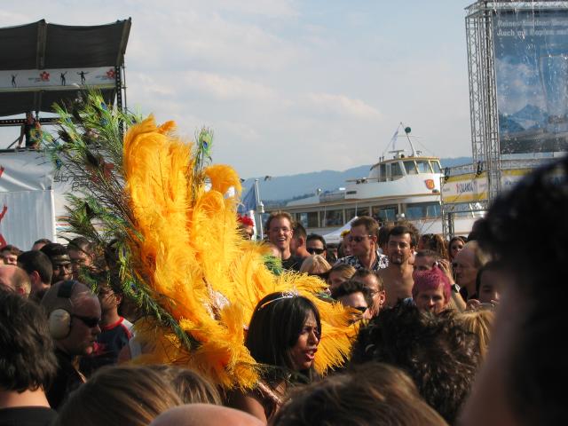 054002_Pfau.jpg