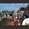 053980_Lovemobile_7.jpg
