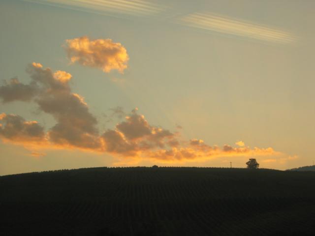 054290_Morgenstimmung.jpg