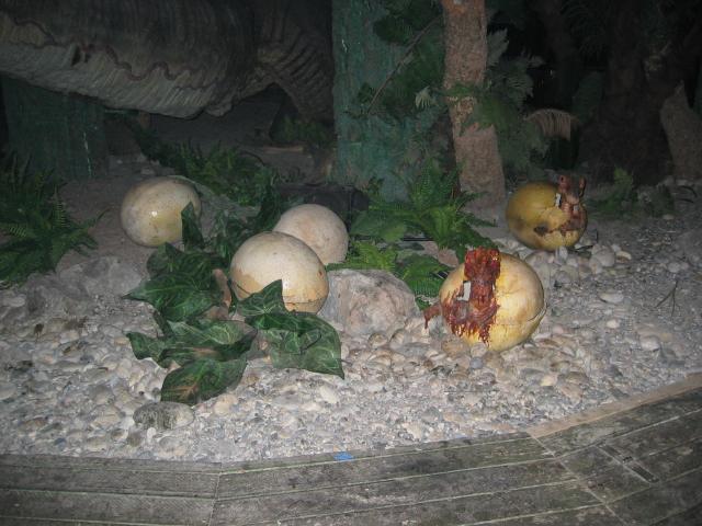 054307_Dino-Eier.jpg