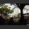 054360_Atlantica.jpg