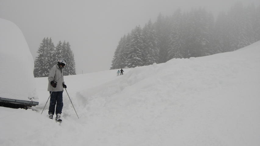 090397_Dem_Tiefschnee_entronnen.jpg