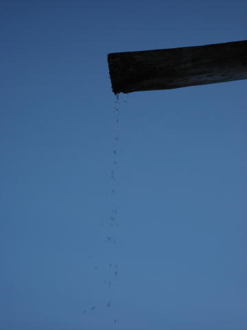 090766_Tropf_tropf__.jpg