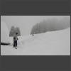 090397_Dem_Tiefschnee_entronnen.jpg