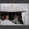 090410_Unsere_Huette.jpg