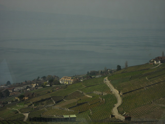 091288_Genfersee.jpg