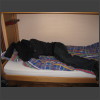 091382_Raphael_isch_mueed.jpg