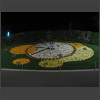 091419_Blumenuhr.jpg