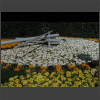 091423_Blumenuhr.jpg
