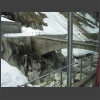 091686_kleine_Bruecke.jpg