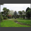 091722_Palmen.jpg