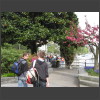 091728_Linus_Raphael.jpg