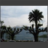 091748_Monte_Gambarogno.jpg