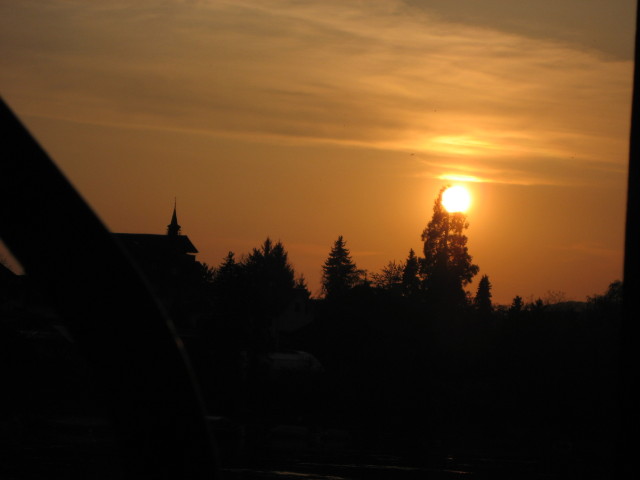091886_Sonnenbaum.jpg