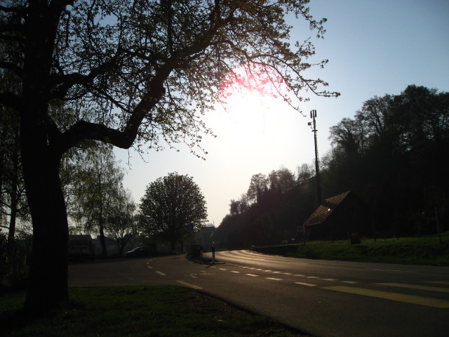 091936_Morgenstimmung.jpg
